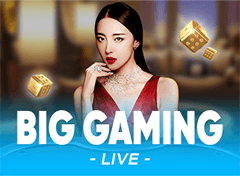 BIG GAMING