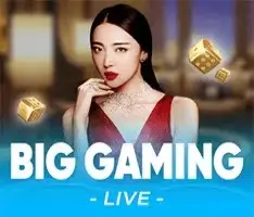 BIG GAMING
