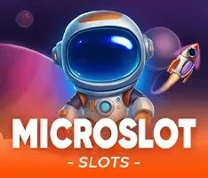 MICROSLOT